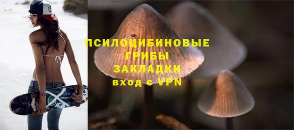 jwh Каменка