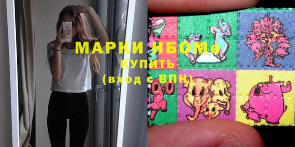 шишки Грязовец