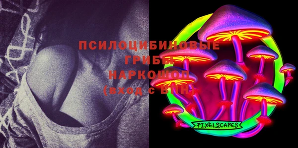 PSILOCYBIN Киренск