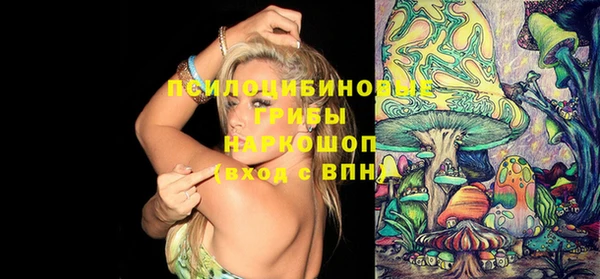 PSILOCYBIN Киренск