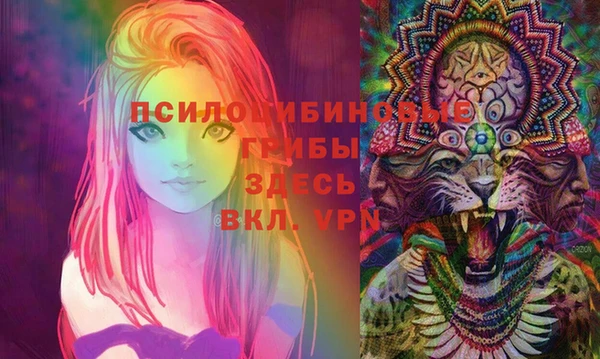 PSILOCYBIN Киренск